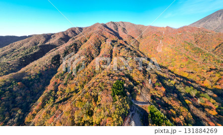 空撮「栃木県」秋色に染まった日光　秋 131884269