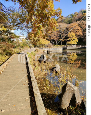 丹沢の紅葉 131884524