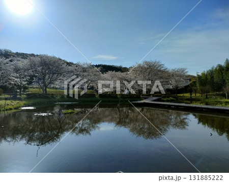 桜のある風景 桜のある風景 131885222