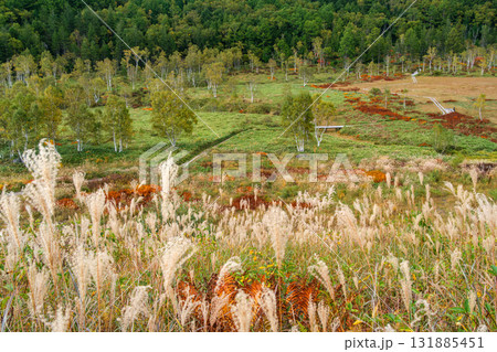 田ノ原湿原の紅葉 131885451