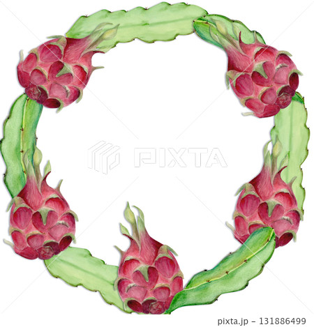 Dragon fruit, cactus leaf hand-painted watercolor wreath isolated on white. Tropical exotic fruit artwork, perfect for botanical prints, cards, packaging design, healthy food concepts, summer decor. Dragon fruit, cactus leaf hand-painted watercolor wreath isolated on white. Tropical exotic fruit artwork, perfect for botanical prints, cards, packaging design, healthy food concepts, summer decor. 131886499
