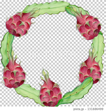 Dragon fruit, cactus leaf hand-painted watercolor wreath isolated on white. Tropical exotic fruit artwork, perfect for botanical prints, cards, packaging design, healthy food concepts, summer decor. 131886499