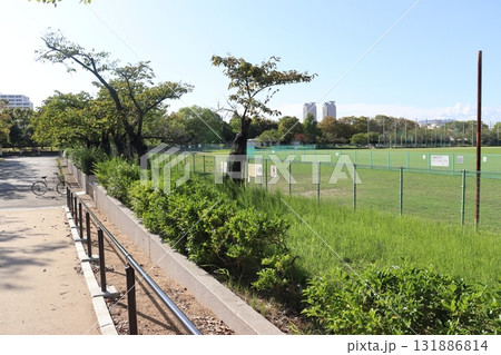 大阪府堺市北区新金岡町の金岡公園 131886814