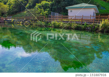 霧島山麓丸池湧水 霧島山麓丸池湧水 131887916