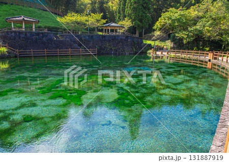 霧島山麓丸池湧水 霧島山麓丸池湧水 131887919
