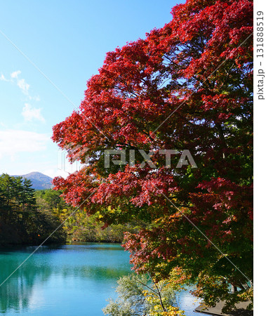 五色沼　紅葉 131888519