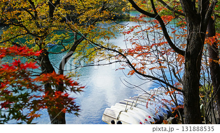 五色沼　紅葉 131888535