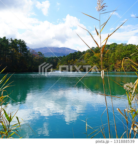 五色沼 紅葉 五色沼 紅葉 131888539