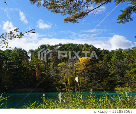 五色沼 紅葉 五色沼 紅葉 131888565