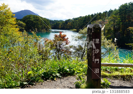 五色沼　紅葉 131888583