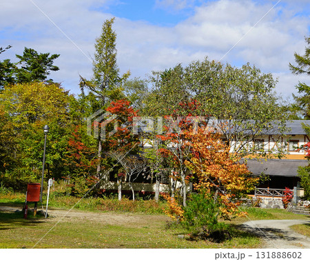 五色沼　紅葉 131888602