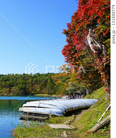 五色沼 紅葉 五色沼 紅葉 131888774