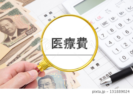 医療費（家計　家計簿） 131889024