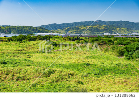 木津川風景 新木津川大橋からの景観 京都府八幡市 木津川風景 新木津川大橋からの景観 京都府八幡市 131889662