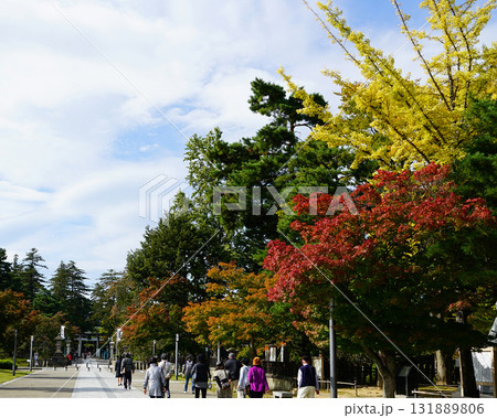 上杉神社 紅葉 上杉神社 紅葉 131889806