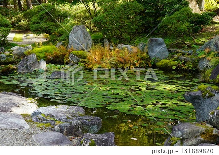 上杉神社　紅葉 131889820