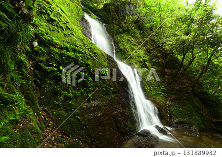 清水の滝(槙尾山) 【大阪府和泉市槙尾山町】 清水の滝(槙尾山) 【大阪府和泉市槙尾山町】 131889932