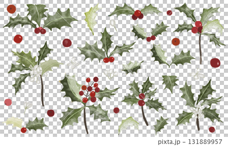 水彩で描いたヒイラギのイラスト素材セット 水彩で描いたヒイラギのイラスト素材セット 131889957