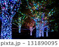 六本木イルミネーション 131890095