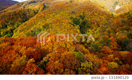 蔵王ロープウェイ 紅葉 蔵王ロープウェイ 紅葉 131890120