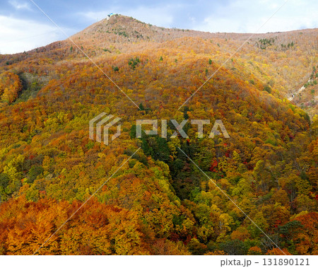 蔵王ロープウェイ　紅葉 131890121