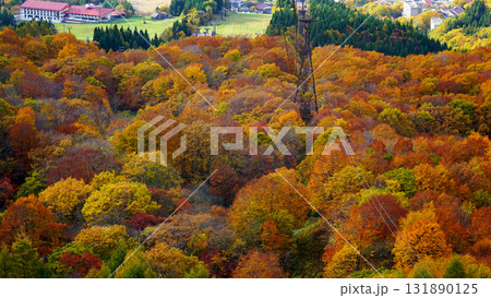 蔵王ロープウェイ　紅葉 131890125
