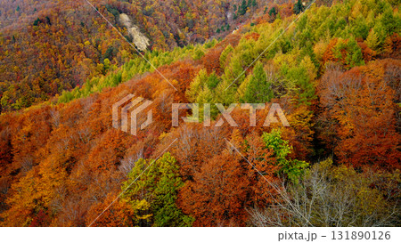 蔵王ロープウェイ 紅葉 蔵王ロープウェイ 紅葉 131890126