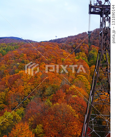 蔵王ロープウェイ 紅葉 蔵王ロープウェイ 紅葉 131890144