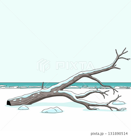 Snowy Log on a Winter Beach 131890514