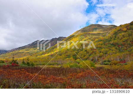 長野県小谷村にある栂池自然園の秋の風景 長野県小谷村にある栂池自然園の秋の風景 131890610