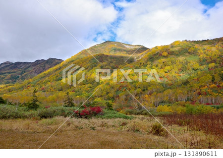 長野県小谷村にある栂池自然園の秋の風景 長野県小谷村にある栂池自然園の秋の風景 131890611