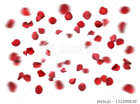 真っ赤な薔薇の花びらが舞う、フローラルな切抜き背景 真っ赤な薔薇の花びらが舞う、フローラルな切抜き背景 131890630
