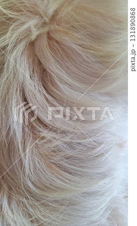 Soft Cream Fur Hair Texture Background with Fluffy and Warm Feeling 131890868