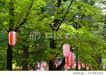 秋祭りの提灯 131891101