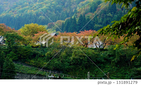 立石寺 紅葉 立石寺 紅葉 131891279