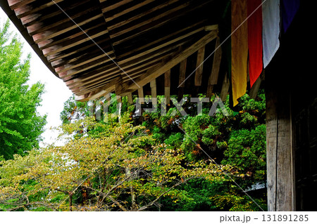 立石寺　紅葉 131891285