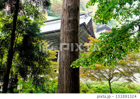 立石寺 紅葉 立石寺 紅葉 131891324