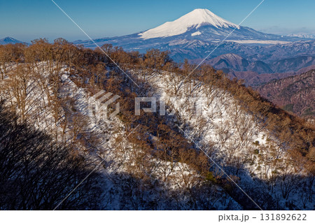 早春の丹沢・塔ノ岳山頂直下から見る鍋割山稜と富士山 早春の丹沢・塔ノ岳山頂直下から見る鍋割山稜と富士山 131892622