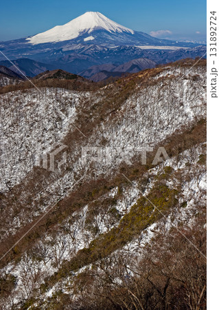 早春の丹沢・鍋割山と富士山 131892724
