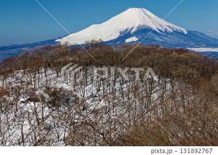 早春の丹沢・鍋割山と富士山 早春の丹沢・鍋割山と富士山 131892767