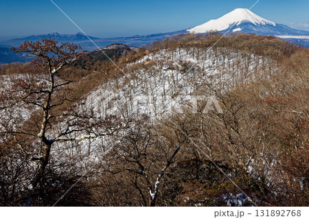 早春の丹沢・鍋割山と富士山 131892768