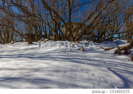 早春の雪景色と丹沢・鍋割山荘 131893255
