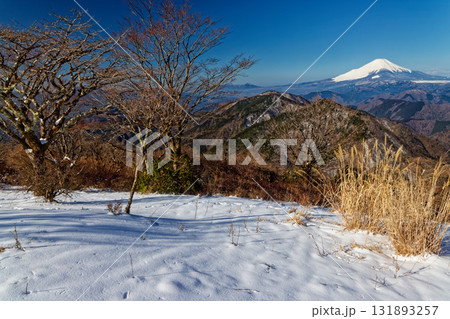 早春の丹沢・鍋割山山頂から見る富士山 131893257