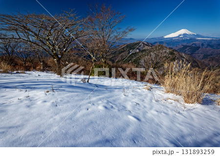 早春の丹沢・鍋割山山頂から見る富士山 131893259