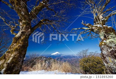 早春の丹沢・鍋割山山頂から見る富士山 131893260