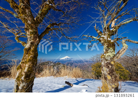 早春の丹沢・鍋割山山頂から見る富士山 131893261