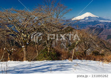 早春の丹沢・鍋割山山頂から見る富士山 131893262