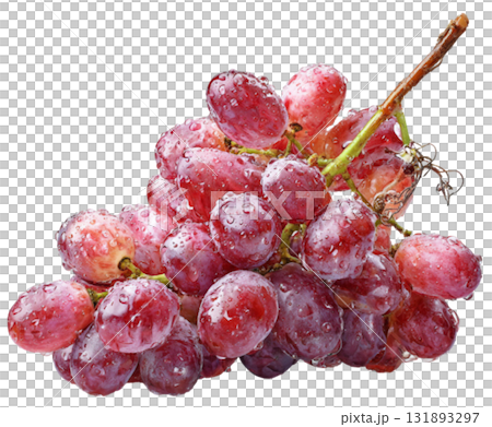 grape grape 131893297