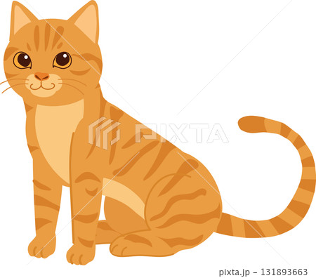 cute orange tabby cat sitting calmly. ginger tabby cat sitting smiling pet animal 131893663