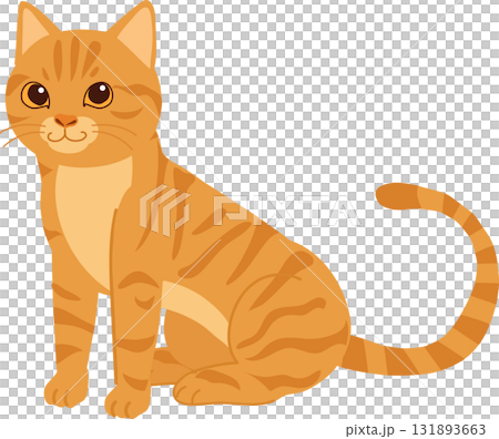 cute orange tabby cat sitting calmly. ginger tabby cat sitting smiling pet animal 131893663